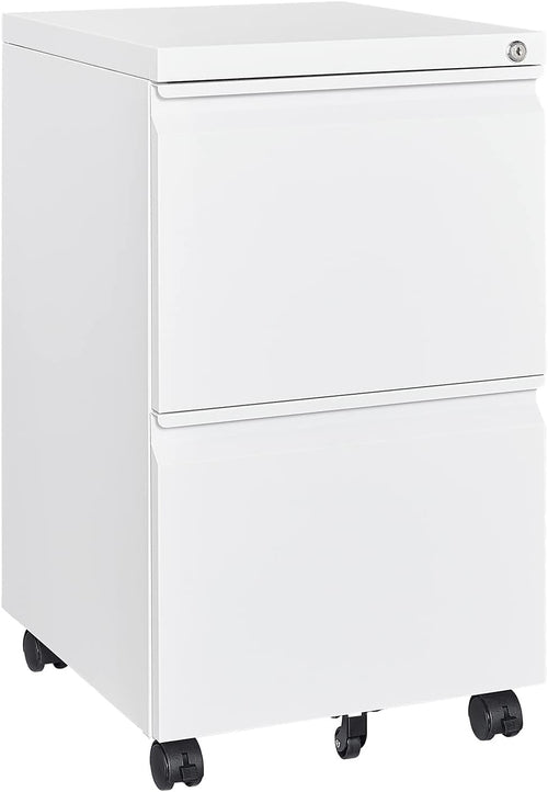 2 Drawer File Cabinet with Lock, Home Office Filing Cabinets on