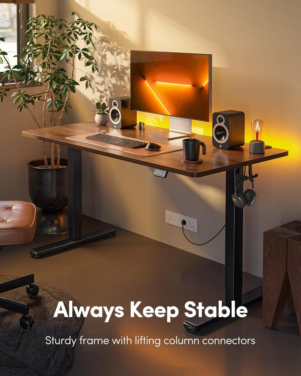 Electric Standing Desk, Height Adjustable Stand up Desk, 55 X 24