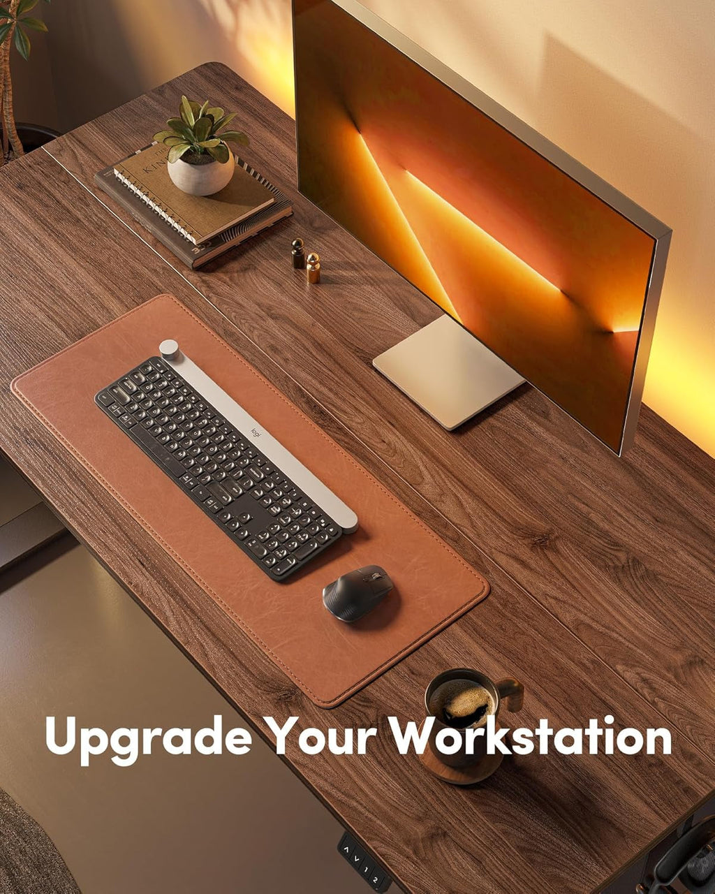 Electric Standing Desk, Height Adjustable Stand up Desk, 55 X 24